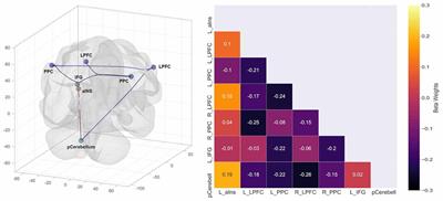 Placebo Effects in the Context of Religious Beliefs and Practices: A Resting-State Functional Connectivity Study